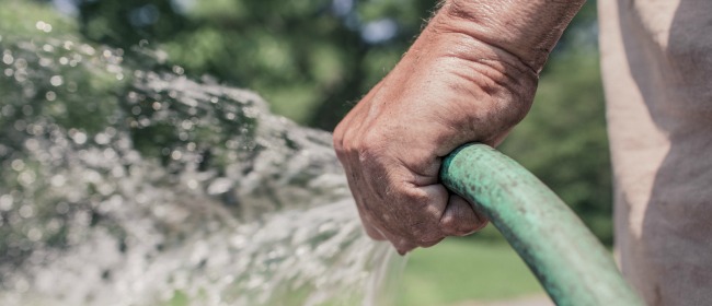 Hand Watering Allowed Every Day